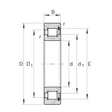 INA ull complement cylindrical roller bearings